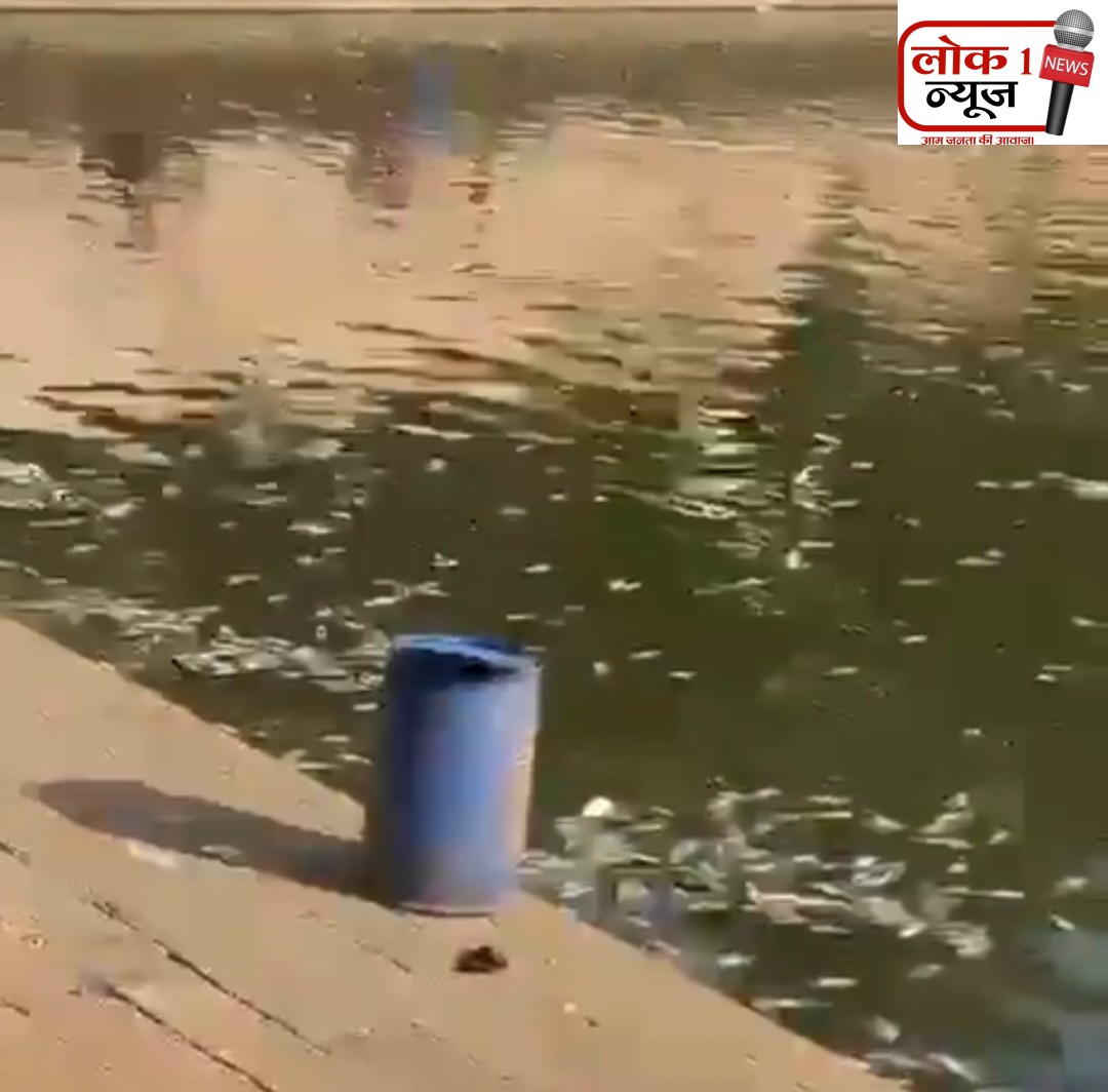 ऐतिहासिक बाणगंगा तलावात शेकडो मासे मृतावस्थेत; जलप्रदूषणाची शक्यता